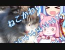 琴葉葵の猫かわいい【VOICEROID】