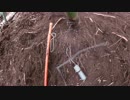 変態忍者の、狩猟＆有害鳥獣駆除従事活動記・その７６