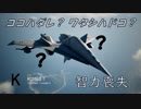 Ace Combat 7 Multiplayer183  バトルロイヤル  ADF-11F + UAV