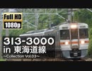 【JR東海】313系3000番台 in 東海道線 ～Collection Vol.03～