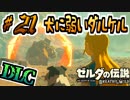 【ゼルダの伝説DLC実況】犬に弱いダルケル part21