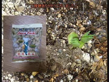 タカハシの一分中華食材百科#71『ありのままのシンプルなもんだけど！深い闇を突き抜ける愛の光が我らを照らすシンプル中華食材』