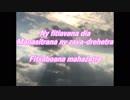 EVHA91Malagasy