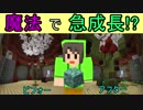【MAGIS】魔法があれば簡単でしょ！ part2　【脱出系マインクラフト】