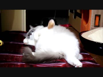 敵に背中を見せないスタイル