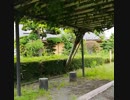 旅先にて・・・