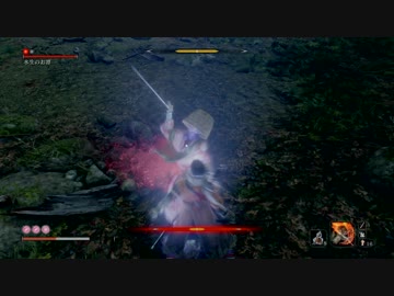 【SEKIRO】 隻狼ォン！アォン！.Part28