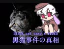 【怪奇事件】窓から大きな黒猫事件、その真実に迫る！【検索してはいけない言葉】