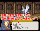 【ヘクトル＋α＋女性縛り】主に女性が活躍するファイアーエムブレム烈火の剣 １９章異伝