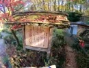 旅先にて・・・