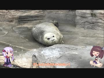 ボイスロイドと始めるバイクライフ! 第3話　南房総ツーリング②