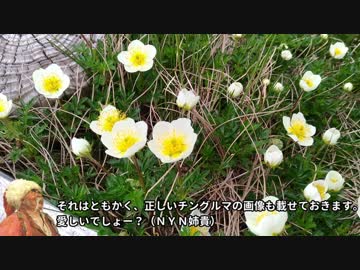 【ゆっくり】西吾妻山攻略RTA 1:43:42.68 【日本百名山】