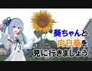 【ひまわりの日】葵ちゃんと向日葵を見に行きましょう。【VOICEROID車載】