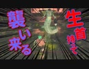 【初見】厨二病の私が嫁を作ってダクソ２をやる【実況】part22-1
