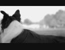 mp4_Rest_and_Play　仁部聡和