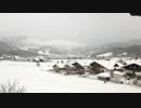 mp4_Snow-Dog　仁部聡和