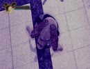 君のはぁと♡（心臓）に虎落とし　6撃目