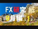 大いなる自由を目指してFXを研究する。9月編[紙1]