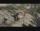 [RISE OF THE TOMB RAIDER]春になりましたが探検家になってみる part30