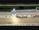 2019年7月7日高知競馬9R 文乃が好きやき協賛 川村文乃祝２０歳特別(C1-イ・C2-イ) トゥモローウィング