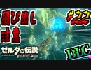 【ゼルダの伝説DLC実況】事故はおこるさ part22