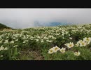 日本二百名山に登ってみた89-2/2　朳差岳(えぶり差岳)編
