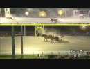 2019年7月8日帯広競馬9R 山下さん帯広着任記念(A1・A2-3) メムロボブサップ