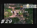 【実況】はじめてのFFⅨ♯29
