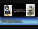 ゴクラクコンビの問題点補足動画