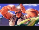 ホモと見る本格的♂ストリートファイターシリーズ.GUILE