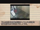 【ゆっくり語る奇妙な事件】エリサ・ラム怪死事件