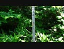 【車載動画】青森県道226号part2