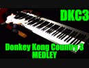 スーパードンキーコング3のいろいろな曲をピアノで弾いてみた