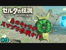【続編決定記念】のんびりと伝説「ゼルダの伝説～ブレスオブザワイルド～」　＃3