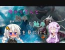 【MTG】ゆかりさん？と触手と触手を見に行く+23【モダン】