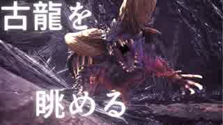 【MHW】古龍を眺める【ＭＡＤ】