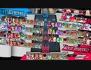 脳筋シュネーヴィッツェンが世界を正す動画 Ver.196