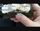布団ちゃん『車載』1枠目【2019/07/09】