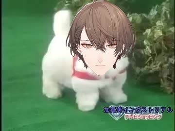 愛犬ロボ加賀美ハヤト