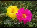誕生日に贈る言葉～7月10日生まれの意欲に満ちたあなたに－聴きものがたり