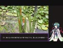 憎き害虫をコロコロするフラワーナイトガール 長居植物園レポート13