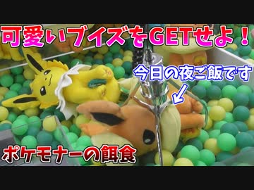 【クレーンゲーム】可愛いブイズを救出して、今日の夜ご飯にしたい男。