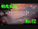 【初見実況】HorizonZeroDawn【12】