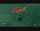【SEKIRO】 隻狼ォン！アォン！.Part29