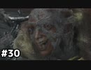 【実況】ゲーム下手でも遊びたいSEKIRO　#30