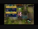 わかります、あなたはファイアーエムブレム蒼炎の軌跡㊸です☆