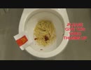 マクドナルドのフライドポテトとBBQソースをトイレに流してみた