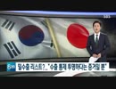 日本メディア:韓国が戦略物資を多数密輸！...韓国側:制御が機能している証拠？