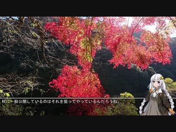 あかりと行くニンジャ250の旅　Part.4