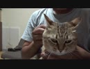 ＃105　開けられないカメラマン